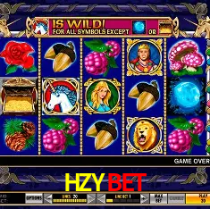 Descubra o Mundo do Cassino Online com HZYBET
